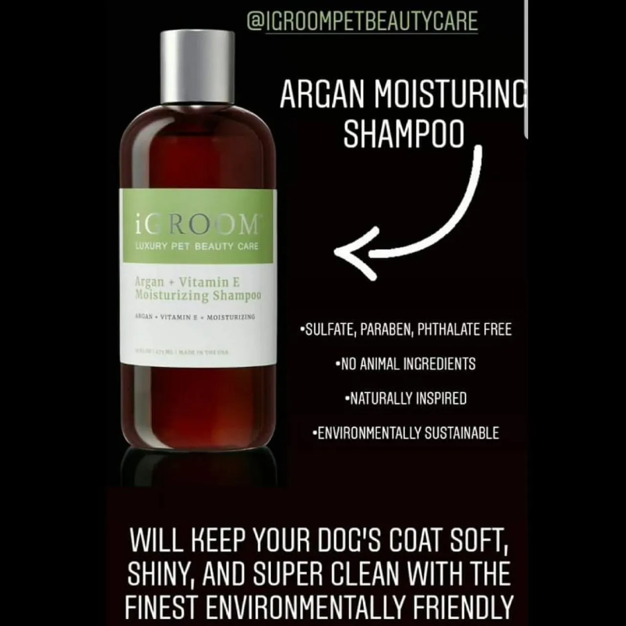 Argan   Vitamin E Moisturizing Pet Shampoo