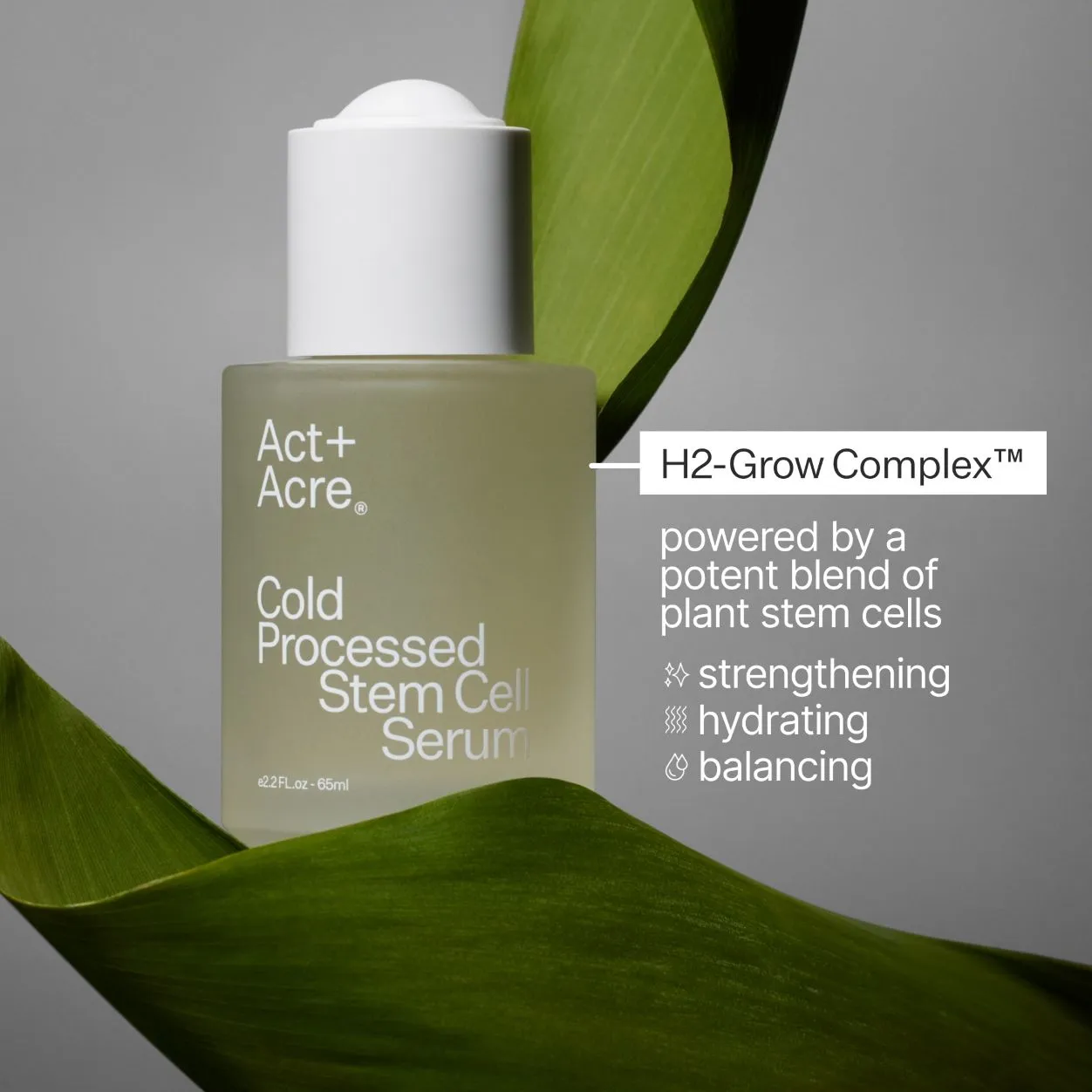 Cold Processed Stem Cell Serum